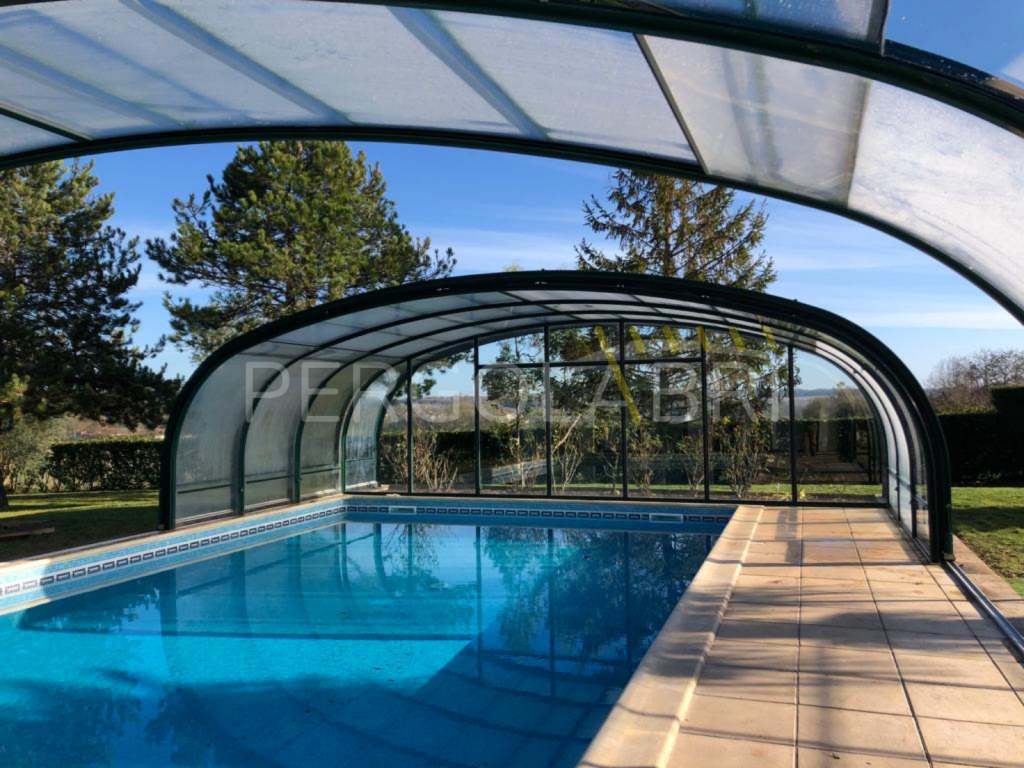Remplacement de la toiture d'un abri de piscine à Ronce-les-Bains (9)