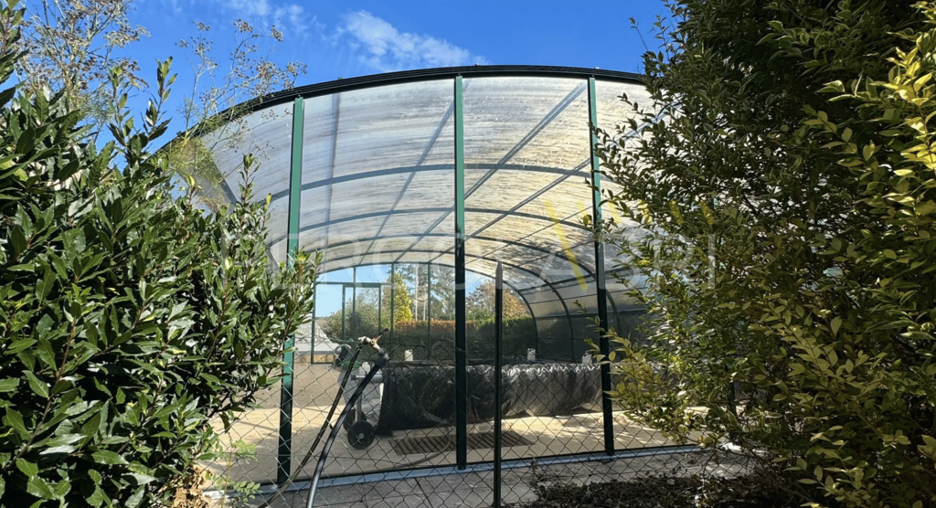 Plaques de polycarbonate vieillissantes sur la toiture d’un abri de piscine